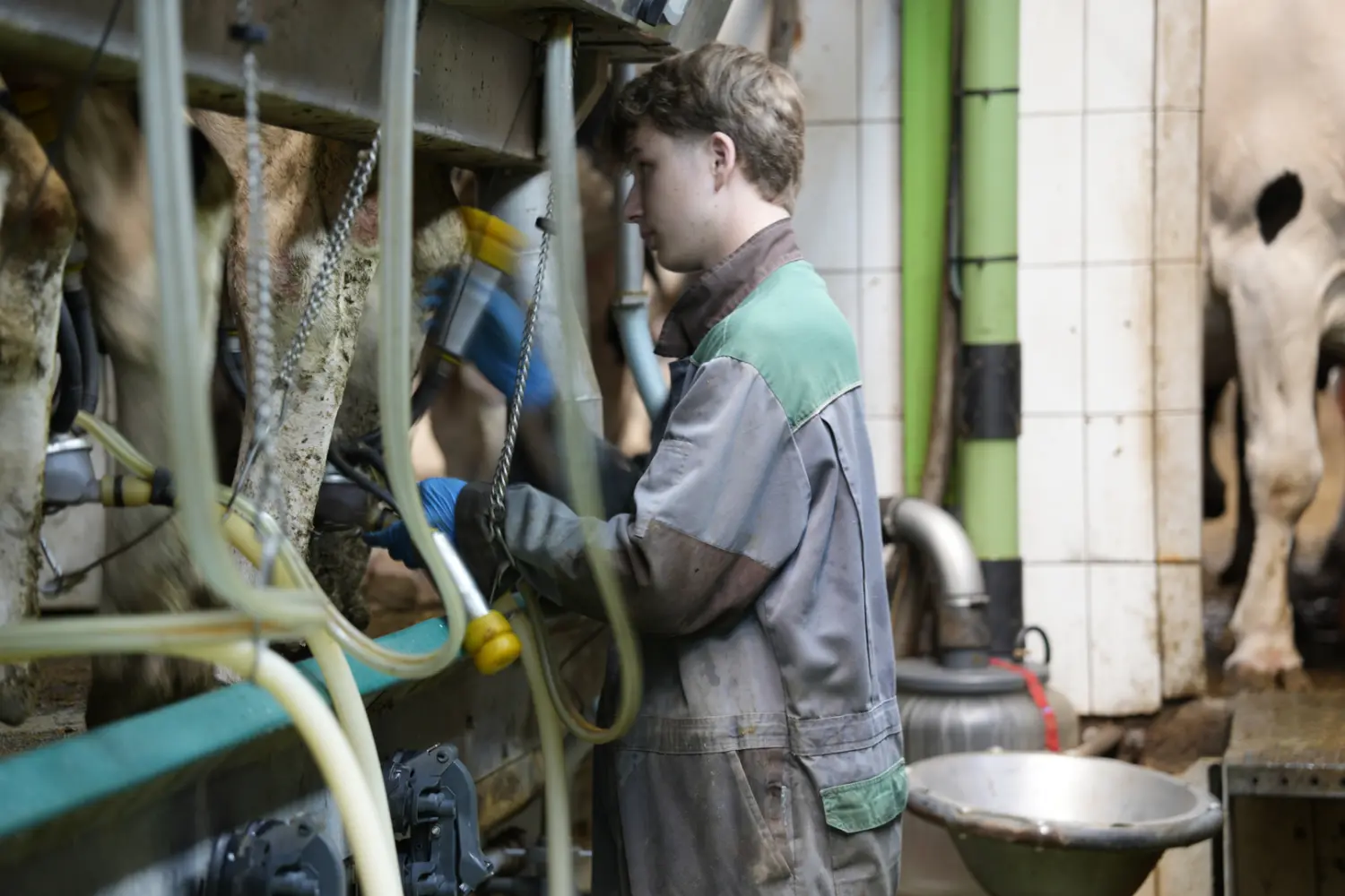 Konzept der Tierschutzinitiative der Großtierpraxis